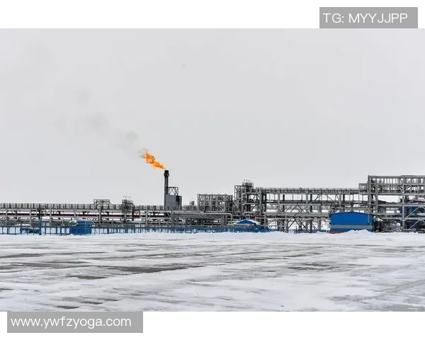 亚马尔地区的能源战略与全球气候变化的应对之道探讨